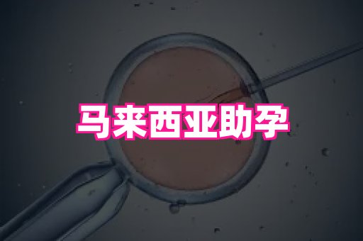 福建助孕网 2