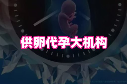 福建助孕网 3